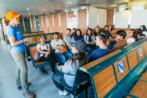 NYC in a Day Tour: Lady Liberty, Times Square, Freedom Tower Full-Day Group Walking Tour