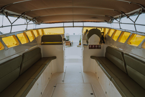 Krabi: Hong Islands Private Luxury Speed Boat Half/Full Day Luxury Speedboat one engine Half Day Hong Islands 5 hrs.