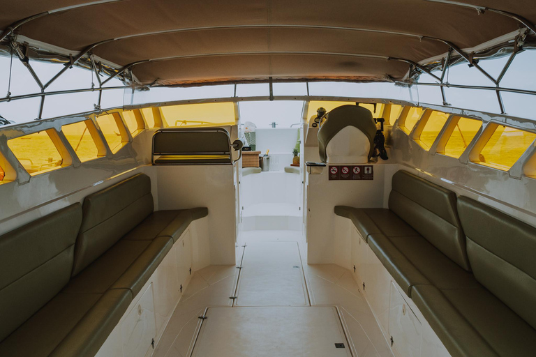 Krabi: Hong Islands Private Luxury Speed Boat Half/Full Day Luxury Speedboat one engine Half Day Hong Islands 5 hrs.