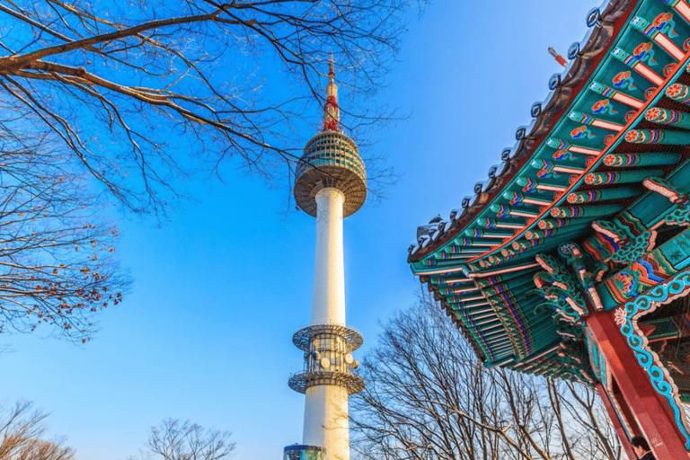 N Entrada para el Observatorio de la Torre de Seúl y N Juego de Hamburguesas