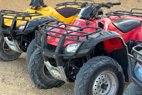 Fayoum: Qarun Sahara Safari With( ATV ) Quad bike From Cairo Private 4 Hours Quad Included Tickets