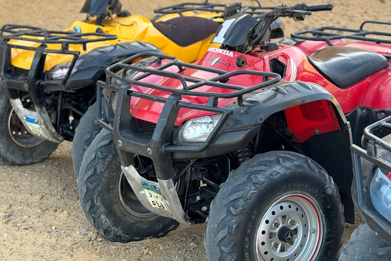 Fayoum: Qarun Sahara Safari With( ATV ) Quad bike From Cairo Private 4 Hours Quad Included Tickets