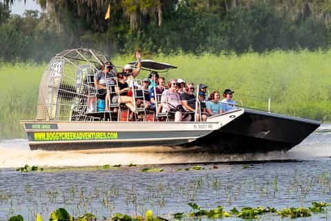 Orlando : Tour en hydroglisseur avec observation d'alligators et de la faune