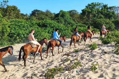 Huatulco:Turtle release,horseback riding and bioluminescence
