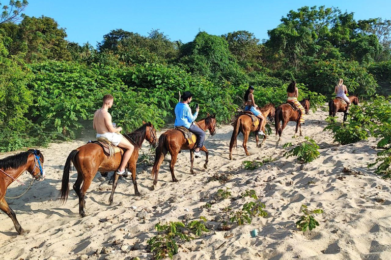 Huatulco:Turtle release,horseback riding and bioluminescence