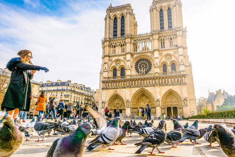 Paris: Notre-Dame Audio Guide + Archaeological Crypt Option Paris: Archaeological Crypt Ticket + Notre-Dame Audio Tour