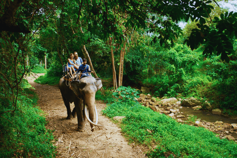 Krabi: Regenwald-Dschungel Tour mit Smaragdpool und heißer QuelleGanztagestour