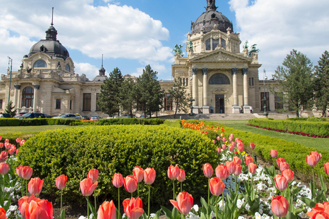 Traslado Privado: Viena a Budapest con visita turística de 2 h