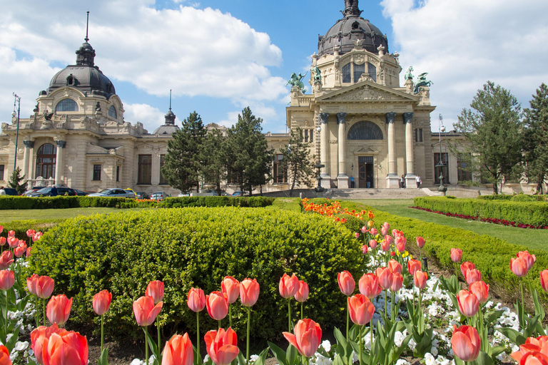 Private Transfer: Vienna to Budapest with 2 hr sightseeing