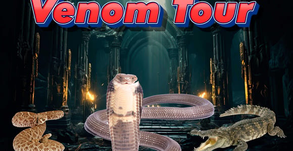 Bristol: Giftschlangentour mit Reptilienfoto