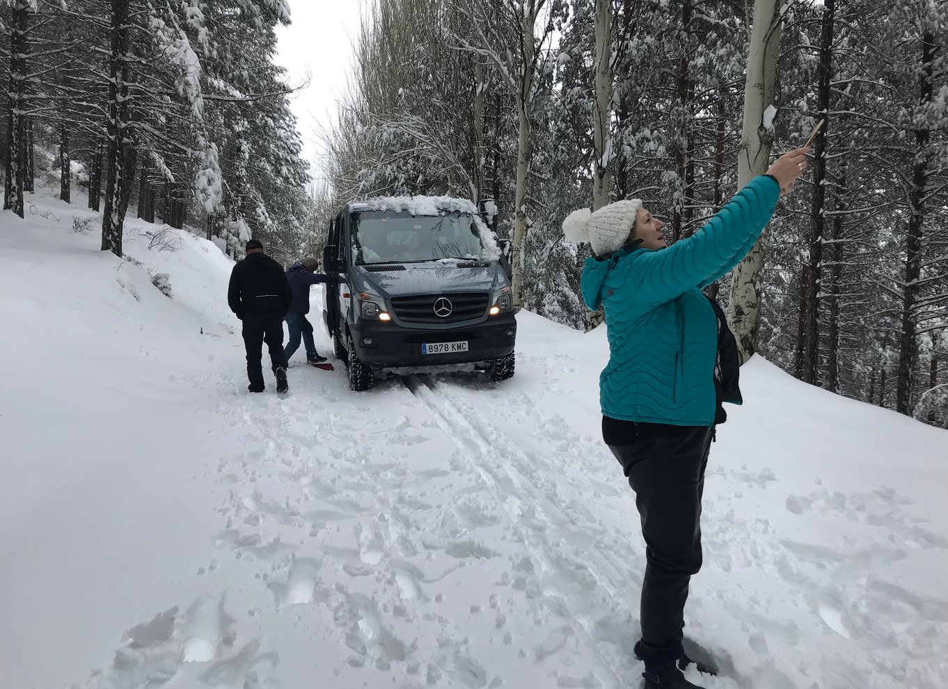 Fra Granada: Sierra Nevada Safari Tour til 2500 meters højde