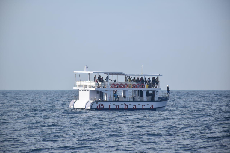 Mirissa Day Tour with Dolphins, Turtles & Beach Time Pick up from Colombo or Negombo City