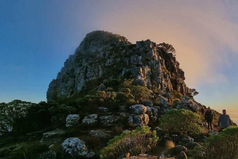 Tafelbergwandeling met gidsKaapstad: Tafelbergwandeling met gids