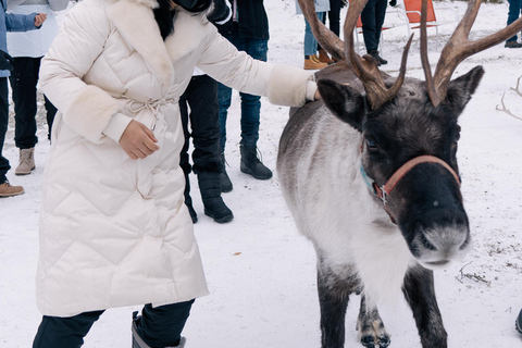 Fairbanks: Reindeer Walk with transportation