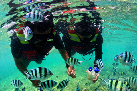 From Lombok: Gili Nanggu, Sudak, and Kedis Island Tour