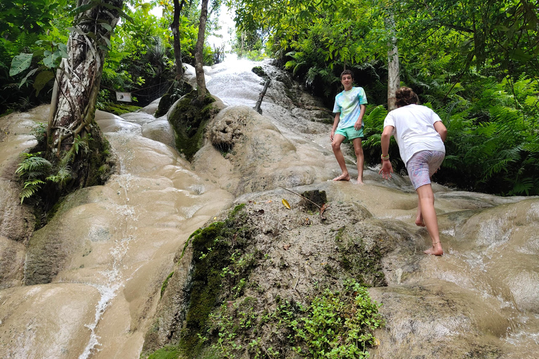 4 Experiences: Elephants, Sticky waterfalls, Market &amp; templeElephants: Sticky waterfalls: Local Market: Wat Banden