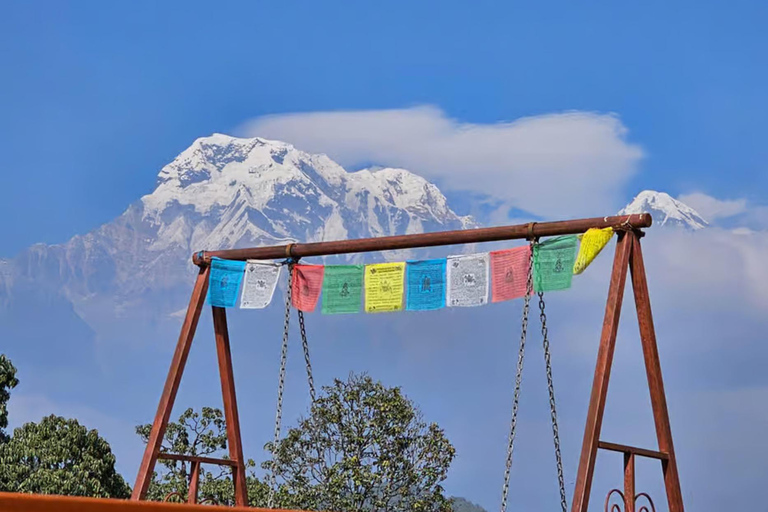 Pokhara: Annapurna Panorama Day Hike to Australian Camp