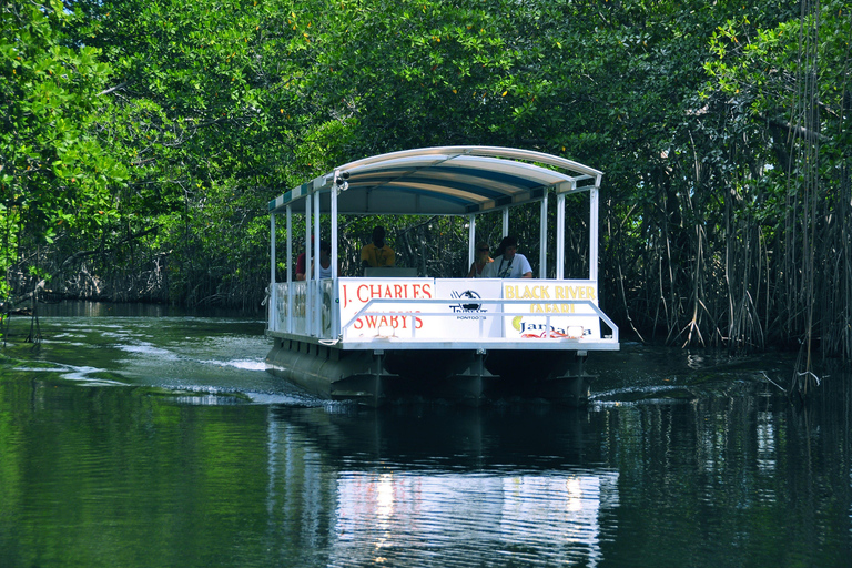 Negril: Black River Safari and YS Falls Tour with Lunch