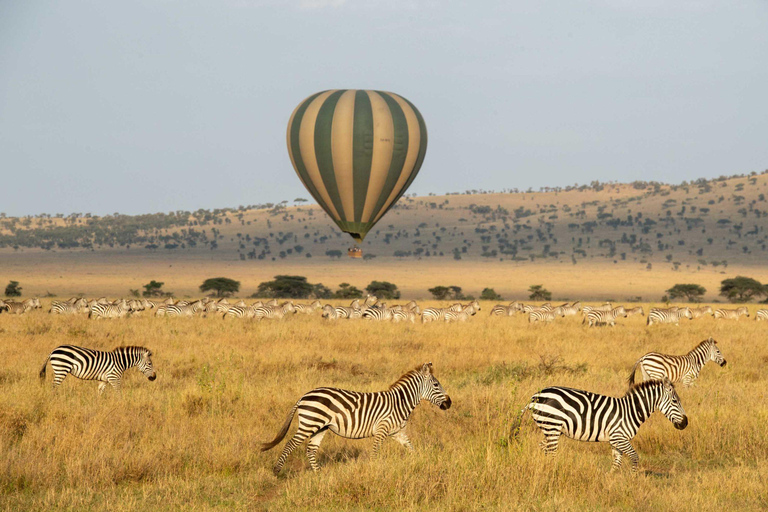 Von Sansibar aus: 3 Tage Flugsafari zur Serengeti und zum Ngorongoro