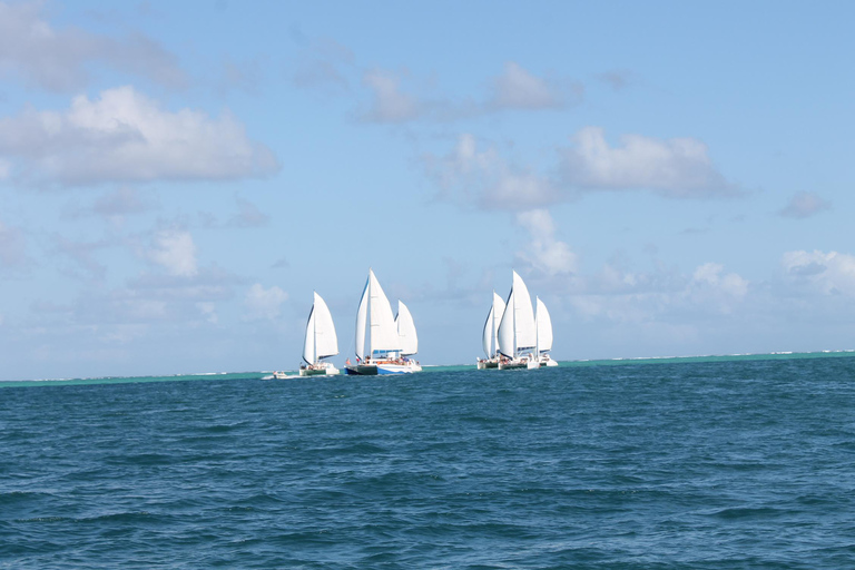 Croisière en catamaran de la côte sud-est à l&#039;île aux Cerfs