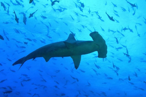 San Cristobal, Galapagos: 4-Day / 3-Night El Origen Package San Cristóbal, Galápagos: 4-Day, 3-Night El Origen Package