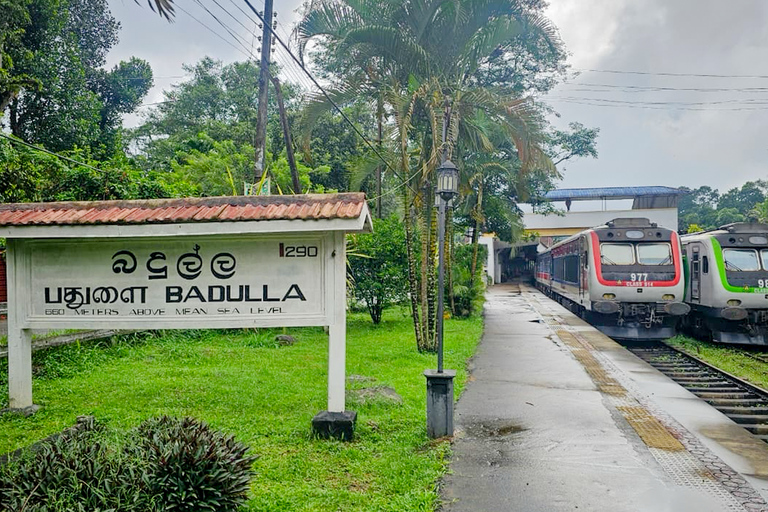 Ambewela to Ella: Scenic Train Ride for Photography Lovers Ambewela to Ella: Scenic Train Ride in 3rd Class cabin