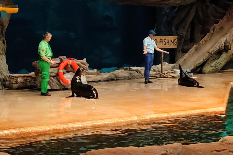 Dubai: Ferrari World Abu Dhabi With Entry Ticket & Transfer Dubai: SeaWorld Abu Dhabi With Entry Ticket & Transfer