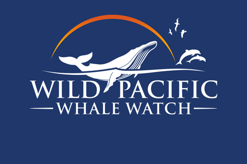 San Diego Bay: Year-round Whale Watching and Dolphin Tour