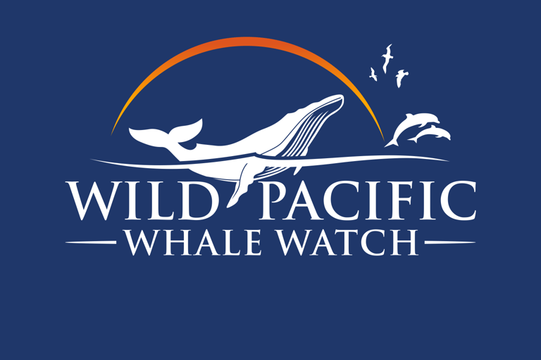 San Diego Bay: Year-round Whale Watching and Dolphin Tour