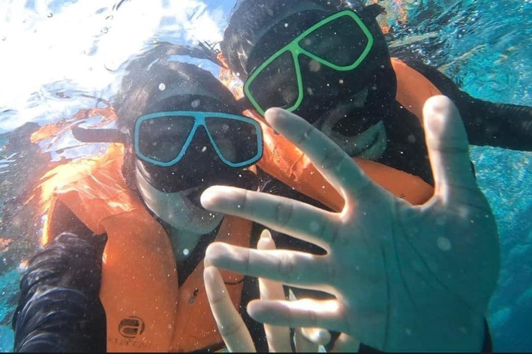 Desde Phi Phi : Tour en barco de cola larga por la bahía de Maya