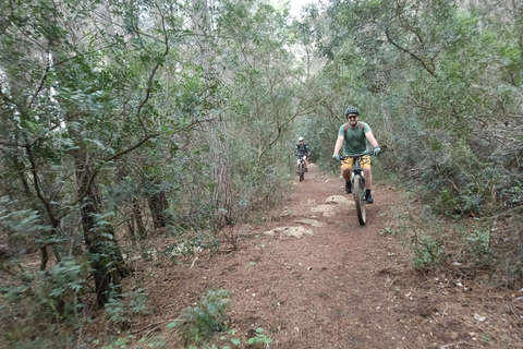 Dénia: Elektrische Mountainbike-Tour um das Montgó-GebirgeDénia: Elektrische Mountainbike-Tour um Montgó