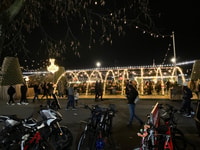 Genf, Vereinte Nationen, Altstadt und E-Bike-Tour am See - Hizvo