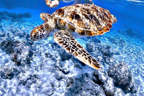 Lombok: Secret Gilis Island-Hopping and Snorkeling Tour