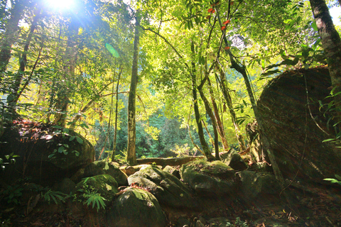 Khao Sok Jungle Day Trip - Jungle Trekking & Bamboo Rafting
