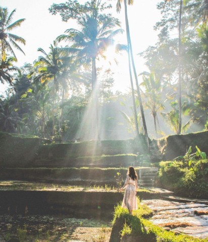 Visit Ubud: Rice Terrace, Waterfalls, Water Temple - Private Tour in Ubud