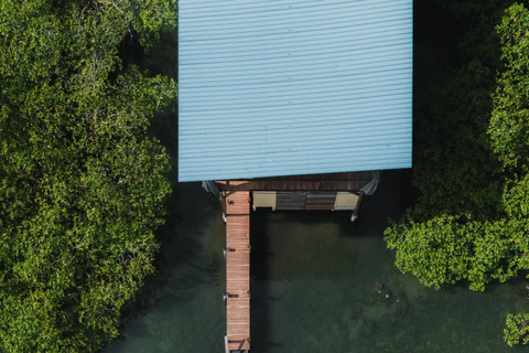 Bocas del Toro: Private Oceanfront Yoga & Island Escape