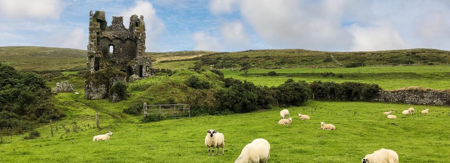 Dingle : Visite touristique et photo du patrimoine