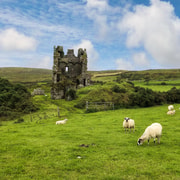 Dingle: Heritage Photo And Sightseeing Tour