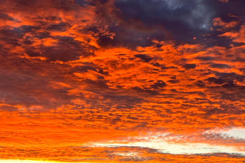 Cidade do Cabo: Caminhada ao nascer ou ao pôr do sol na Lion&#039;s HeadCaminhada ao nascer do sol a partir do ponto de encontro