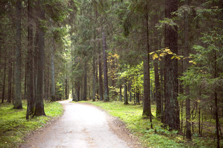 Discover southern and western Lithuania: A Two-Day Road Trip