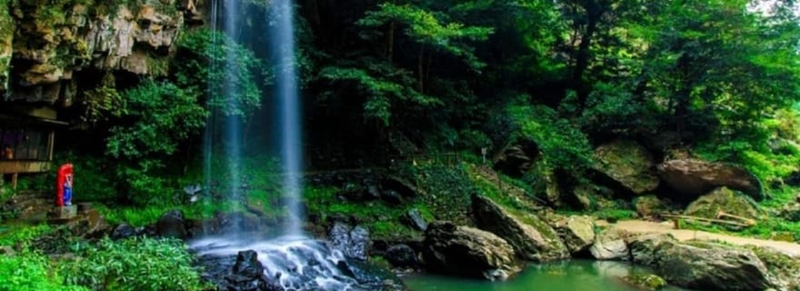 Depuis Da Nang/Hue : Excursion d'une journée au parc national de Bach Ma