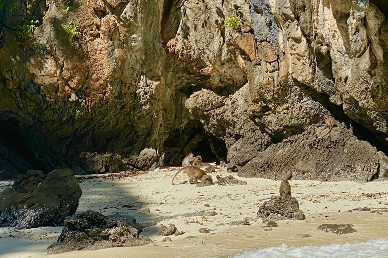 Phi Phi: First Group at Maya Bay, Avoid The Crowds Boat Tour [Full-Day] Maya Bay Speedboat Tour