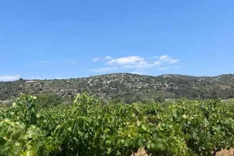 Montpellier: półdniowe wino i kawior Terrasses du Larzac