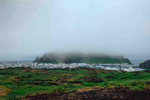 Depuis Reykjavik : Tour des macareux et des volcans dans les îles Westman