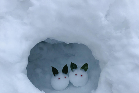 From Nagoya: Snow Day in the Japan Alps & Shirakawago Nagoya (tour + rental snow wear)