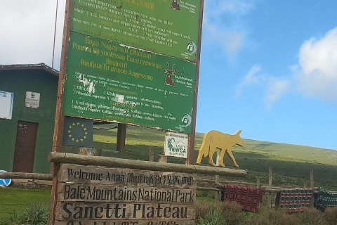 Bale Mountains Trekking und Wildlife Spotting 6 Tage Touren