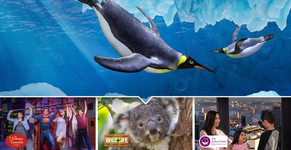 Sydney: Ultimate City Pass for 4 Attractions with Skywalk