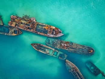 Brisbane: Moreton Island Return Ferry & Adventure Day Pass