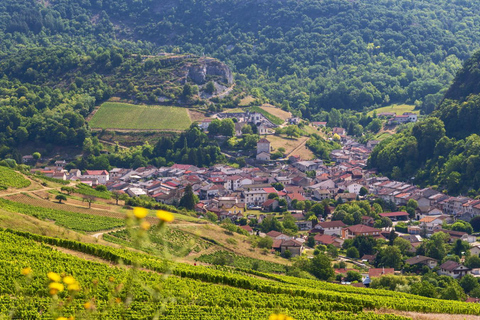 From Lyon: Medieval Village of Pérouges Day Trip