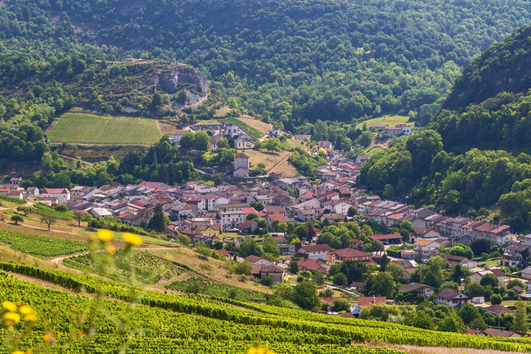 From Lyon: Medieval Village of Pérouges Day Trip
